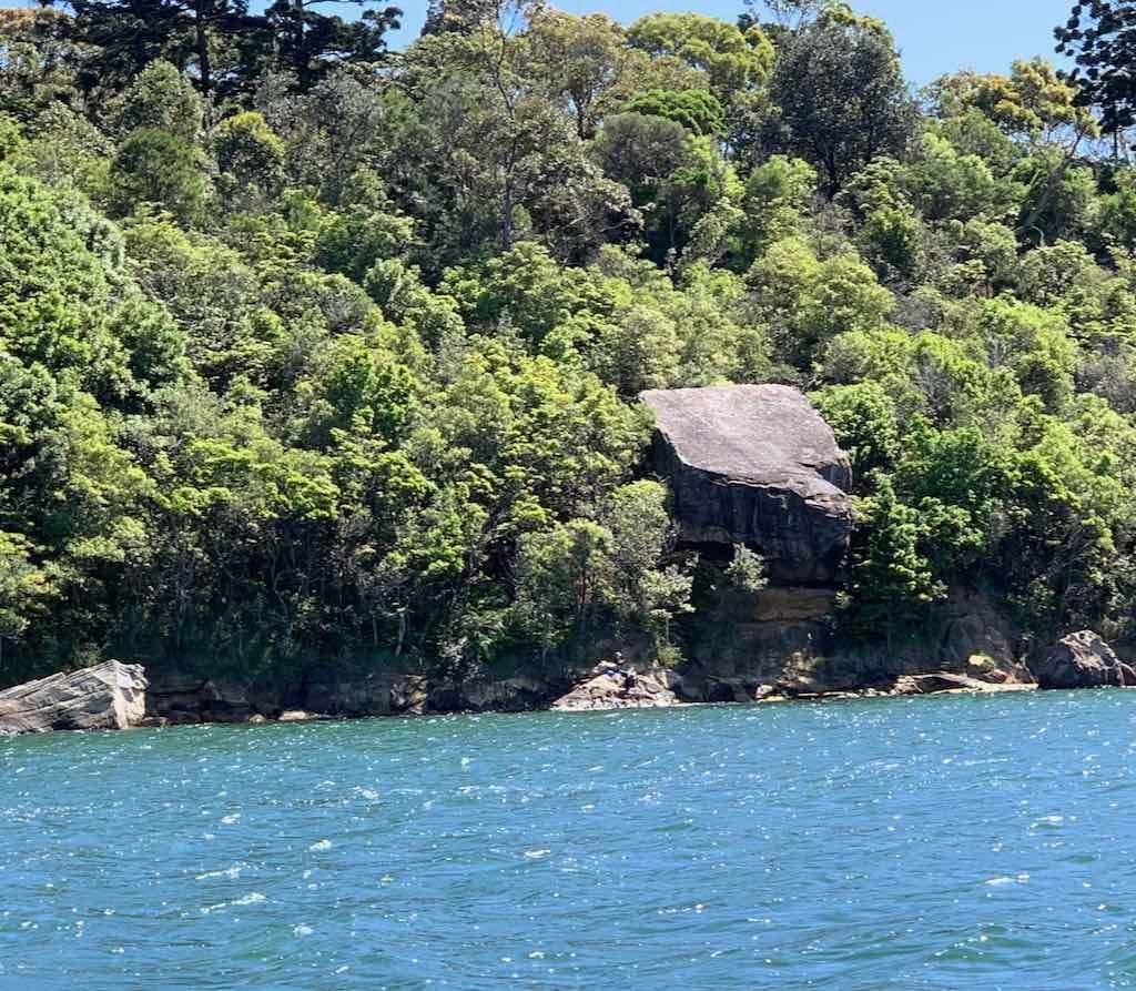 October 2022 Jacaranda Cruise Image -6361c8783188e